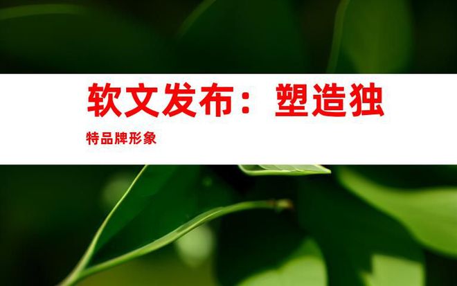 媒體網(wǎng)站推廣、軟文發(fā)布、網(wǎng)絡(luò)宣傳：文章全新的媒體發(fā)布渠道！