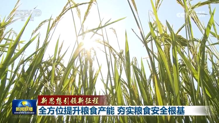 【新思想引領新征程】全方位提升糧食產(chǎn)能 夯實糧食安全根基(圖3)